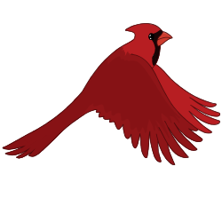 Cardinal