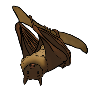 Bat